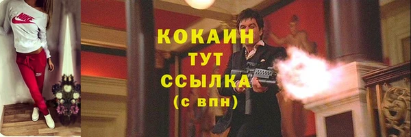 индика Иннополис