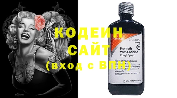 мет Инта