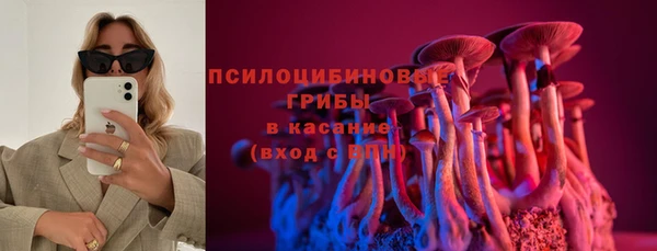 мет Инта