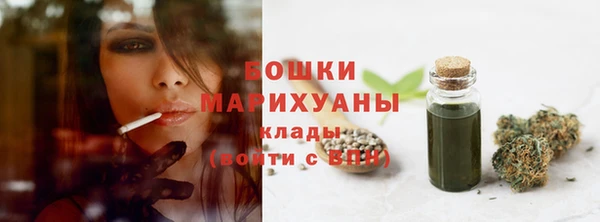 мет Инта