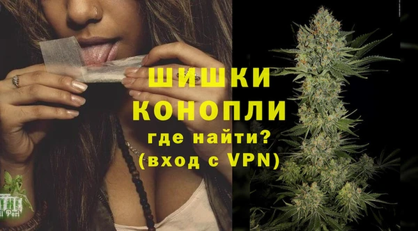 мет Инта