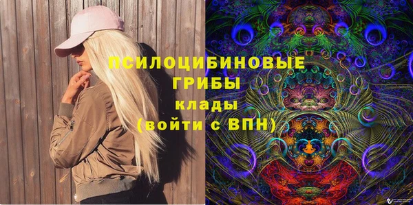 мет Инта
