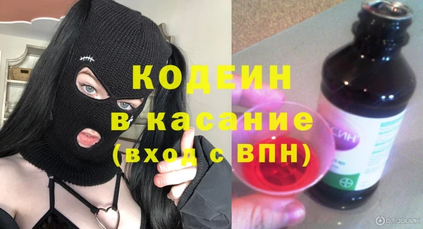 индика Иннополис