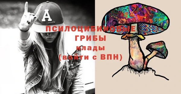 марки nbome Инсар