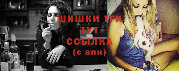 мет Инта