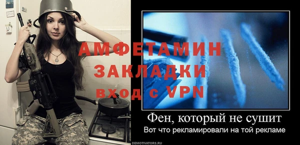 индика Иннополис